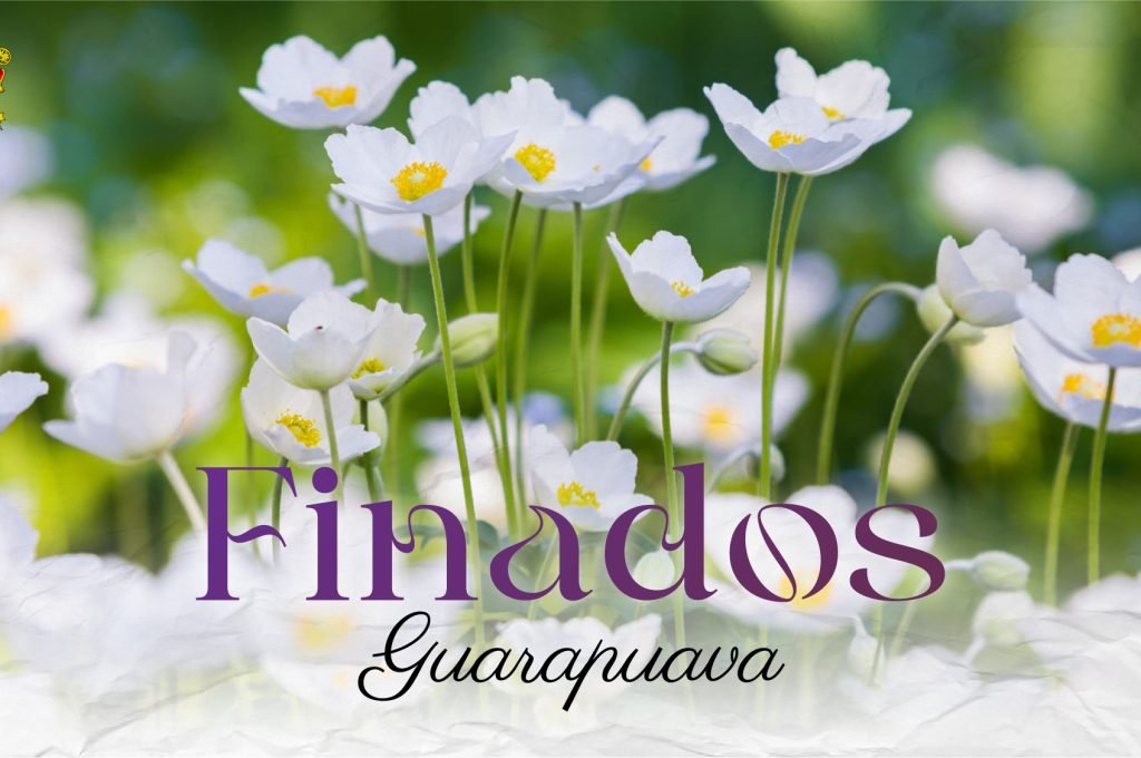 Finados-Guarapuava